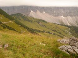 2013-09-08_6Falkenh-Steinfalk (297).JPG